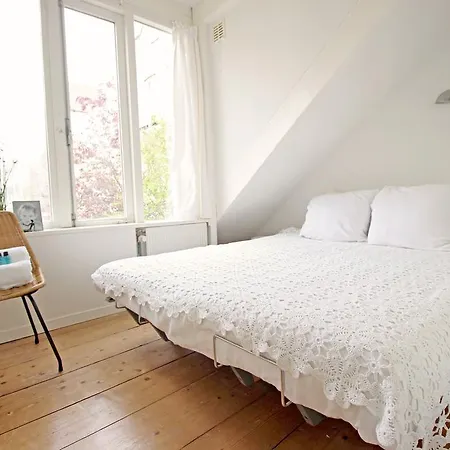 Beautiful 2 Floor Vondelpark Apartment. Guest house Amsterdam